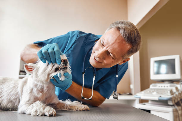 Best Emergency Tooth Extraction in Clermont, FL